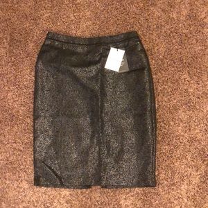 NWT Pencil Skirt